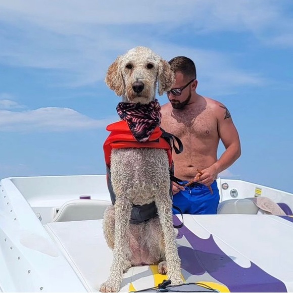 Meet your Posher. - Picture 5 of 6